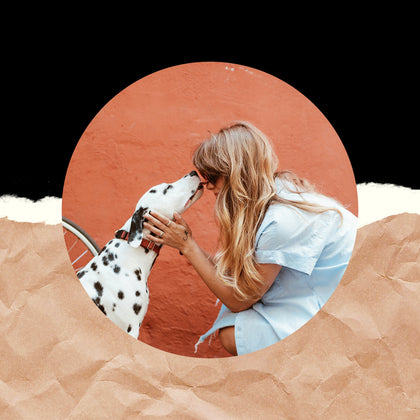 Pet Accessories & Treats
