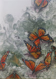 Down where the Koi fish lie