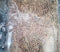 Jeera/cumin seeds(50g)