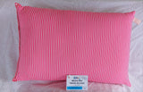 Beach and Travel Pillows