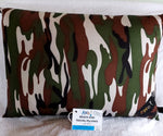 Beach and Travel Pillows