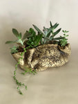 Ceramic Plant Pots