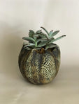 Ceramic Plant Pots