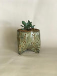 Ceramic Plant Pots