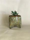 Ceramic Plant Pots
