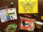 Activity Pack: Insects