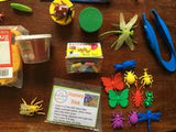 Activity Pack: Insects