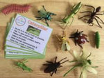 Activity Pack: Insects