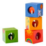 Discovery  cubes with Animal Puzzle